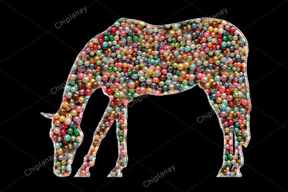 Horse Animal Beads Colorful Embroidery